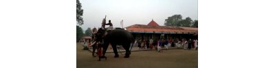 செங்கன்னூர் பகவதி - மாவேலிக்கரை - கேரளா